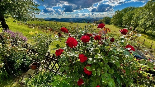 Chata se saunou - hrad Klenov� - CHKO �umava