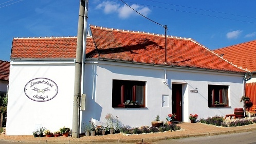 Levandulová chalupa - Vrbice - Starý sklep