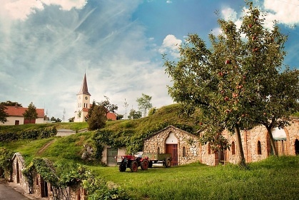 Penzion U TŘÍ RŮŽÍ - Vrbice - jižní Morava