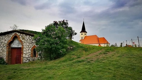 U TŘÍ RŮŽÍ - ubytování a vinný sklep - Vrbice