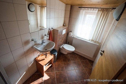 Penzion U TŘÍ RŮŽÍ - Vrbice - jižní Morava