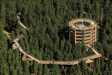 Apartmán Lipno - Lipno nad Vltavou - Riviéra