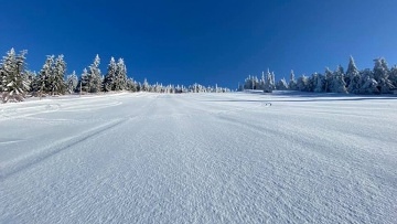 Roubenka se saunou - Lys� hora - Krkono�e