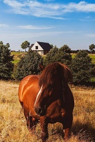 Chalupa CHKO Orlick� hory - �erlich - Zdobnice