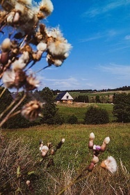 Chalupa CHKO Orlick� hory - �erlich - Zdobnice