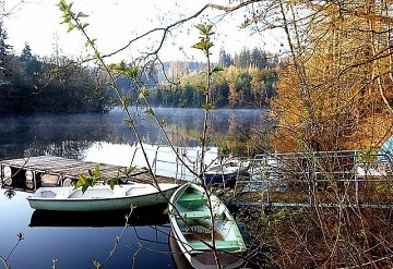 Chaty s baz�nem - Divok� Orlice - Pastvinsk� n�dr�