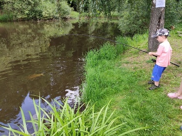 Jiho�esk� chalupa a uzav�en� dv�r - Slavonice