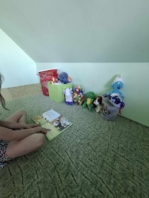 Chata s baz�nem - z�mek Hrub� Sk�la - �esk� r�j