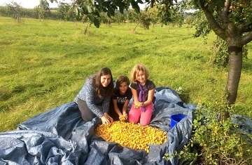 Chalupa u pramene �eky Odry - hrad Helf�t�n