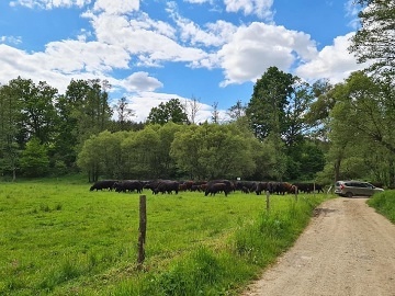 Rodinn penzion - bazn a bio farma - Borotn
