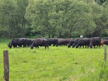 Penzion U Farmáře - Moraveč - Chotoviny - Tábor