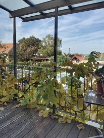 Vina�sk� dv�r Turna - Nov� Ml�ny - P�lava