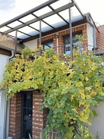 Vina�sk� dv�r Turna - chalupa Nov� Ml�ny - P�lava