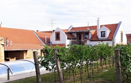 Vina�sk� dv�r - baz�n a vinn� sklep - P�lava