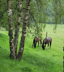 Chata a chatička - samota Najdek - Lodhéřov