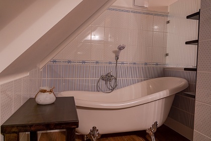 Roubenka baz�n a wellness - Sobot�n - Jesen�ky