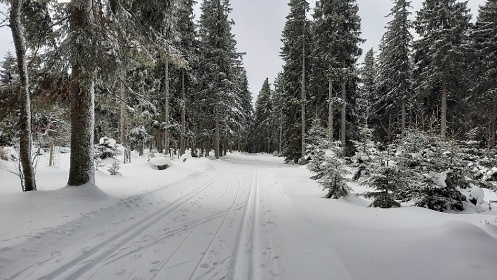 Chalupa Šumava - Zadov - Kvilda - Modrava
