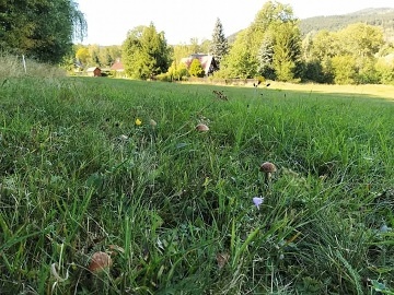 Chata Tereza - Oldřiš - Merklín - Krušné hory