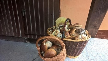 Chata Jizerka Nová Ves n.N - Jizerské hory