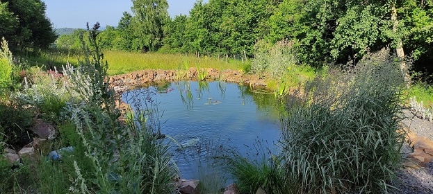 �umavsk� chata - baz�n a sauna - Klatovsko