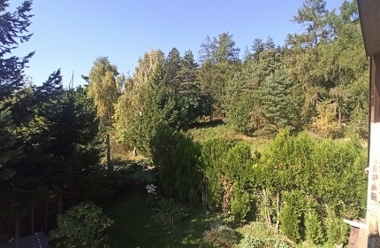 Chata s bazénem - Šumava - Struhadlo