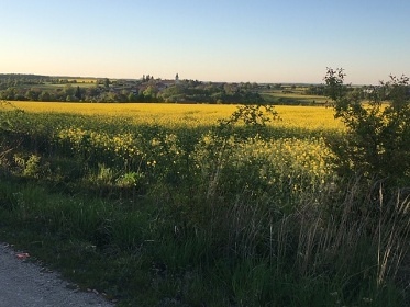 Chalupa NP Podyj - zmek Vranov a hrad Btov