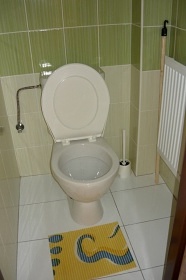 Chalupa s baz�nem - �ehrovsk� les - hrad Kost