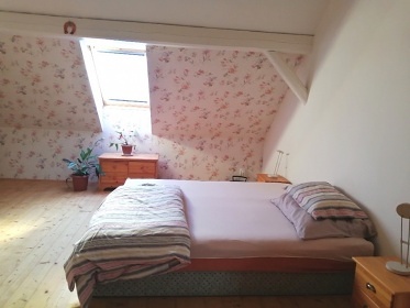 Apartmán Rozsochatec - dovolená se psem