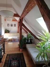 Apartmán Rozsochatec - dovolená se psem
