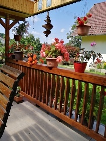 Apartmán Rozsochatec - dovolená se psem