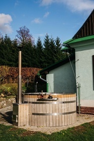 Chalupa s wellness - ���ka Rokytenka - Orlick� hory