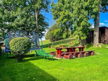 Chalupa s wellness - ���ka Rokytenka - Orlick� hory