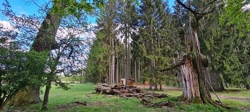 TINY HOUSE U RYBNÍKA - Glamping Kněžičky