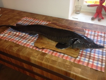 Jizerská chalupa - Jiřetín pod Bukovou