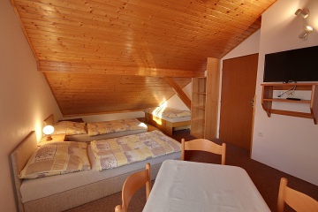 Chalupa �esk� r�j - wellness a baz�n - Novopacko