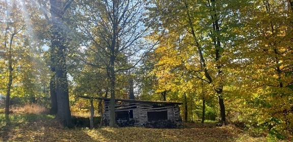 Pohdkov chaloupka - r - Mchovo jezero