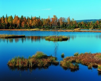 Apartm�ny �umava - chata Borov� Lada - Nov� Sv�t