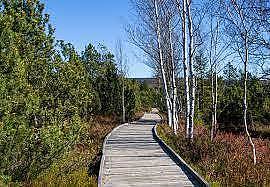 Apartmány Šumava - chata Borová Lada - Nový Svět