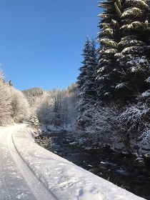 Chata K4 - Kouty nad Desnou - Přemyslov