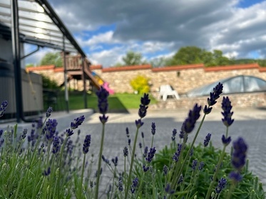 Chalupa s baz�nem - Bukov� hora - Ml�nick� dv�r