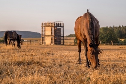 Wellness chalupa esk rj - zmek Sychrov