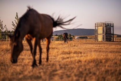 Wellness chalupa esk rj - zmek Sychrov