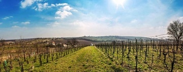 Chalupa a vinn� sklep Slov�cko - Kyjovsk� stezka