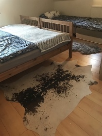 Wellness chata s baz�nem - Dvorsk� les - Krkono�e