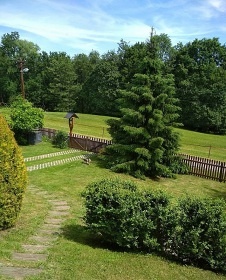 Chata u lesa �esk� r�j - hrad Trosky - Vald�tejn