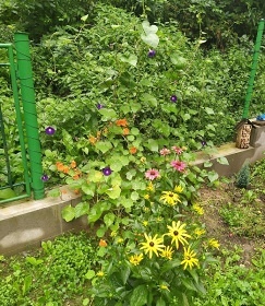 Chata u �eky S�zava - hrad �esk� �ternberk