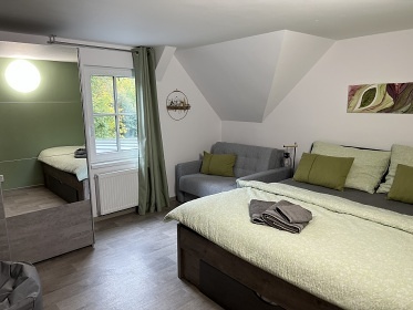 Chata bazén a wellness - Jizerské hory - Příchovice
