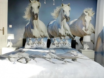 Chalupa s baz�nem - Rychlebsk� stezky - Jesen�ky