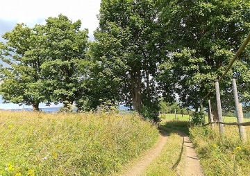 Chalupa Kralick� Sn�n�k - Mal� Morava - Hrub� Les