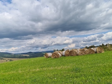 Chalupa Kralick� Sn�n�k - Mal� Morava - Hrub� Les